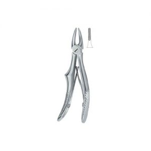 Incisors and cuspids 137
