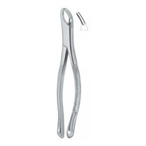 Cryer Bicuspids , Incisors and Roots 150