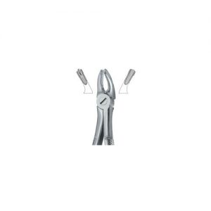 Molars , Right 39R