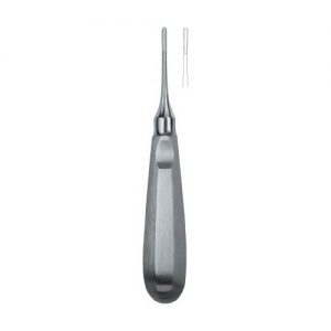 Apical 1