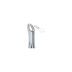 Cryer Bicuspids , Incisors and Roots 151A