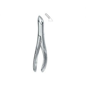 Teeth and Roots, Universal 151Sk