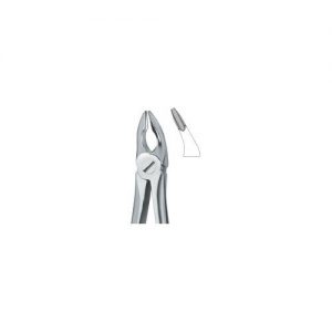Incisors and Bicuspids 35N