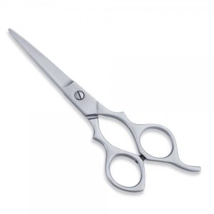 Economy Scissor