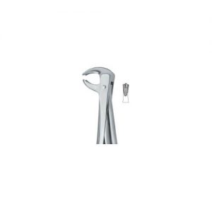 Lower Molars 73